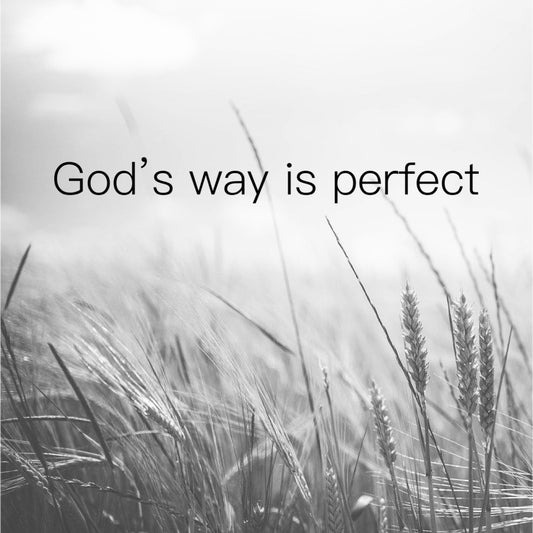 Gods way Christian Clothing Store with hoodies and t-shirts